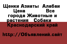 Щенки Азиаты (Алабаи) › Цена ­ 20 000 - Все города Животные и растения » Собаки   . Краснодарский край